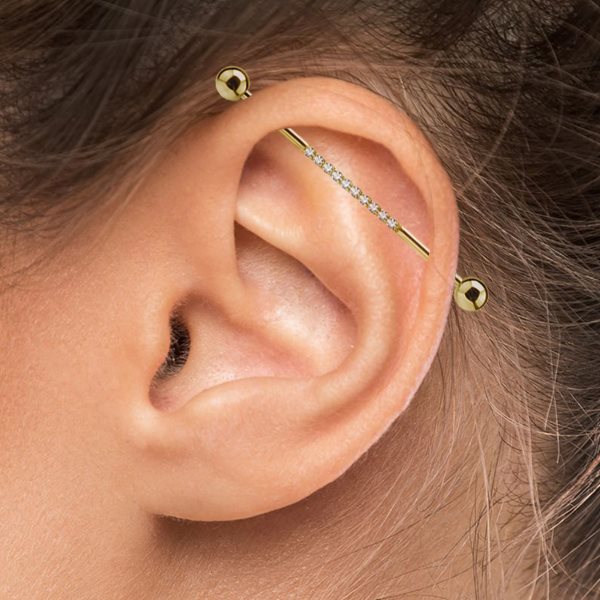 Image of an industrial ear piercing